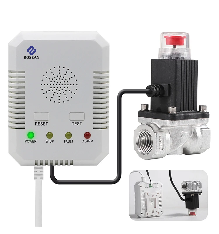 Natural Gas CO Gas Leak Detector Carbon Monoxide Combustible Gas Detector Alarm Determine Tester for Home with Valve