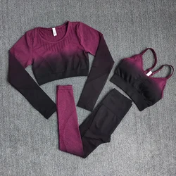 Ensemble d'entraînement à manches longues pour femme,couleur ombrée, haut court de yoga, soutien-gorge et leggings sans couture, vêtements de sport et de fitness,