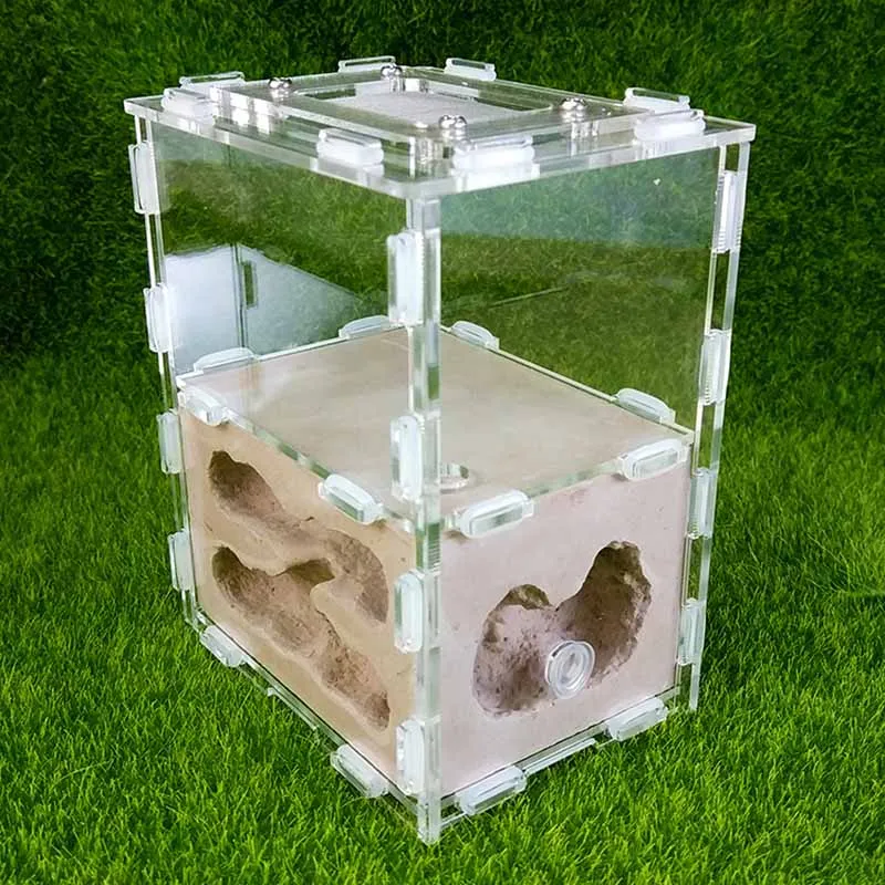 Rectangular Bionic Acrylic Plaster Nest Ants Farm House	 Reptile Terrarium 4 Colors To Choose From