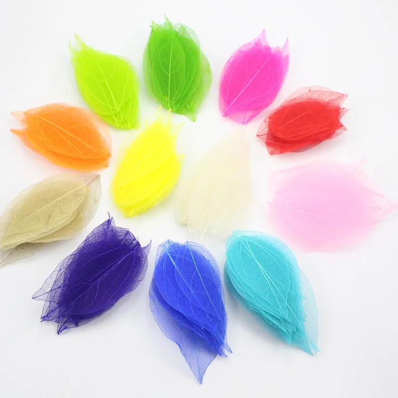 20pcs/100pcs 6.5*3cm Multi-color optional Natural skeleton leaves for Party Home Decor DIY Handmade Materials