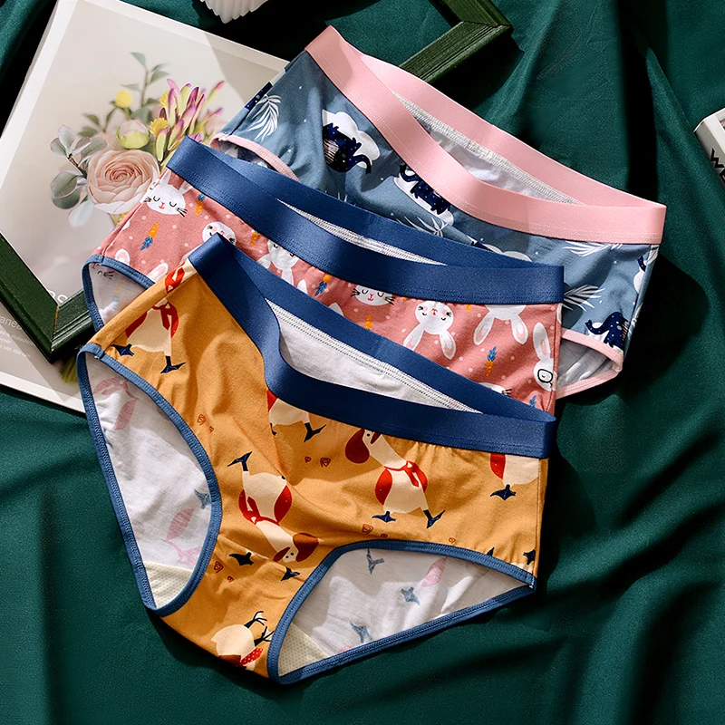 Gentle.Bear 2021 New fashion couple cartoon printing sexy middle waist Antibacterial Women Underwear Elastic Soft Men\'s Panties