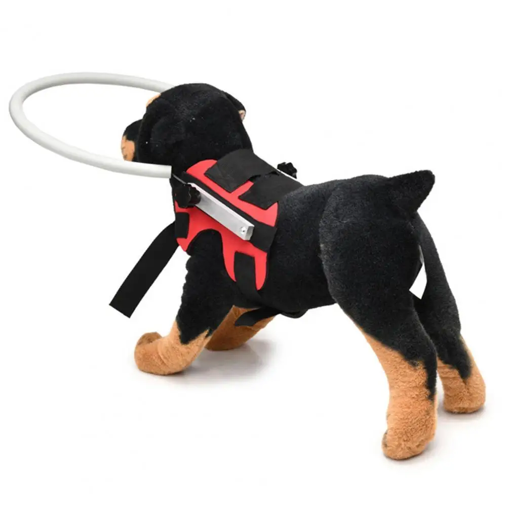 2 Colors Great Blind Dog Harness Guiding Device Ring Lightweight Blind Dog Safe Halos Adjustable for Puppy Shop