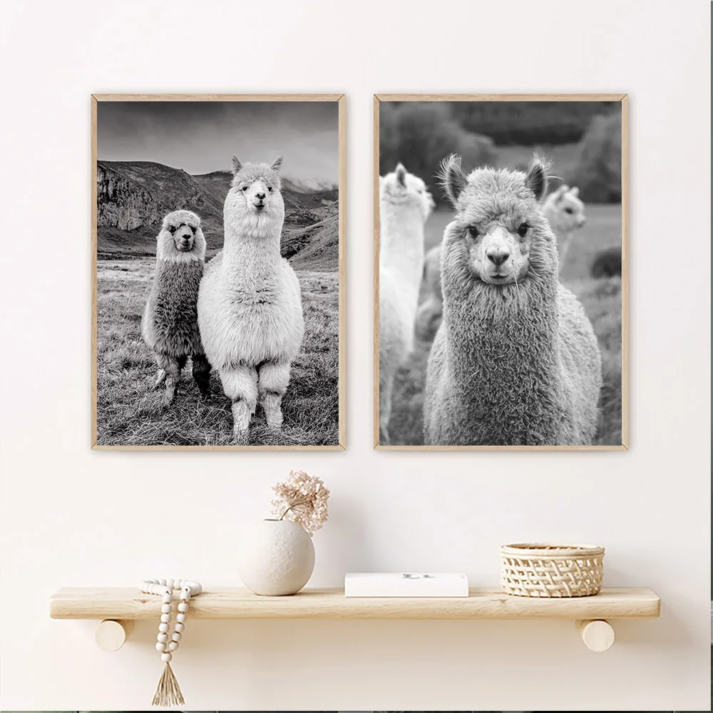 Black and White Animal Alpaca Llama Canvas Painting Posters and Prints Canvas Wall Art Pictures Wall Decor Nursery Baby Bedroom