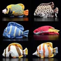 Regal Blue Tang Emperor Royal Angelfish Four-banded butterflyfish Tropical Fish Copperband Butterflyfish Spotted Scat Plush Toy
