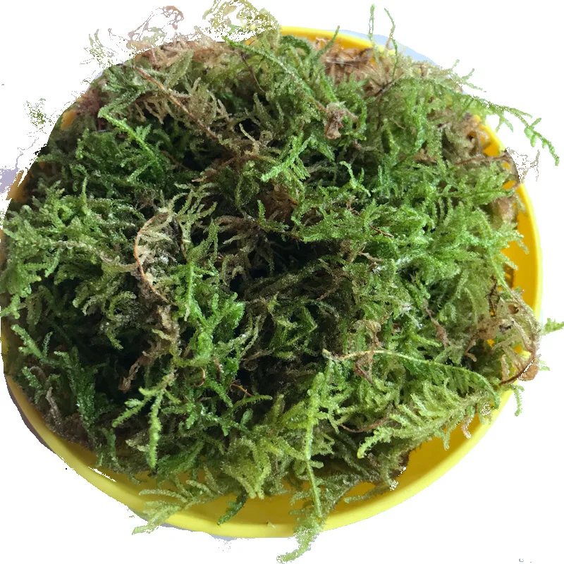 

Artificial Moss Flower Pot Decoration, Artificial Flower Accessories, 1000g