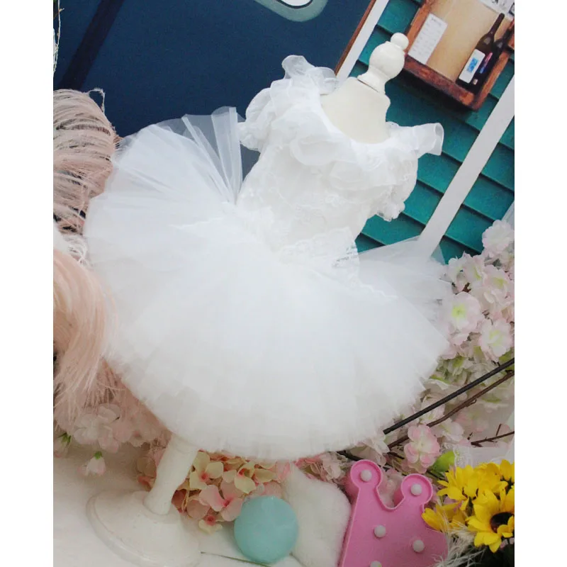 Imagem -03 - Vestido de Noiva Branco com Bowknot para Cachorro e Cachorro Renda Artesanal Roupa Bordada para Animais Vestidos Princesa Tutu Poodle Cão Pequeno Moda