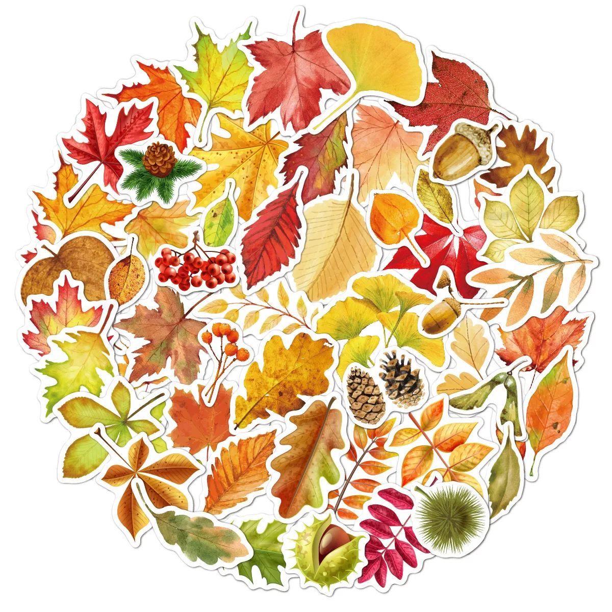 50 sheets/Pack Autumm Maple Leaves Graffiti Decorative Stickers