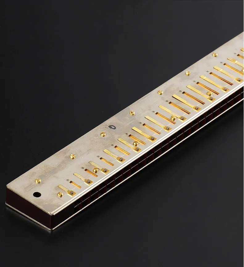 Yueko Swan Professional Playing Level 28 Hole C Tune Harmonica Advanced Phosphor Bronze Gong Sound Quality Beautiful Thick