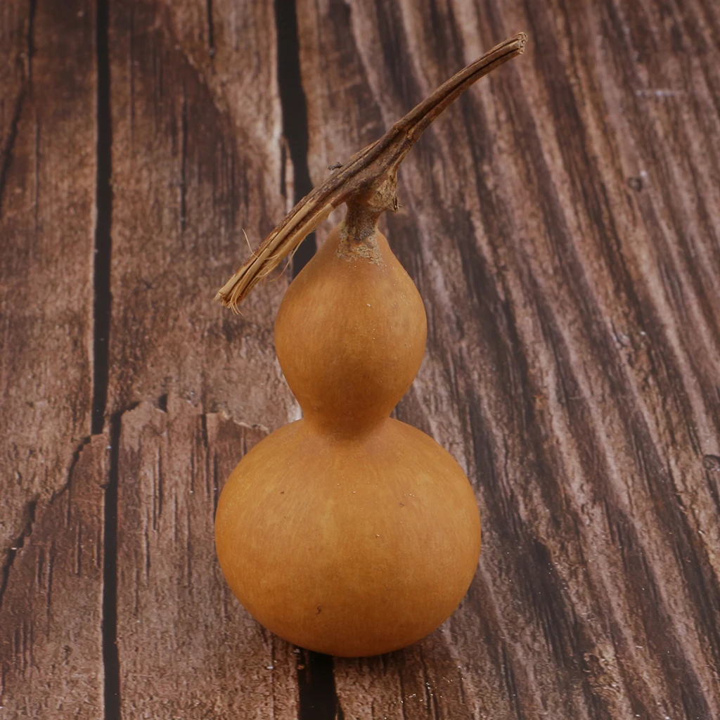 Mini pumpkins for your craft project, small natural dried pumpkins