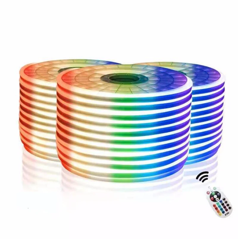 100m RGB Neon Flex 10*20MM 120 LEDS/M 2835 SMD Rgb Led Strip Waterproof Neon Tube 220V 12V 24V 110V Flexible Tape Lights