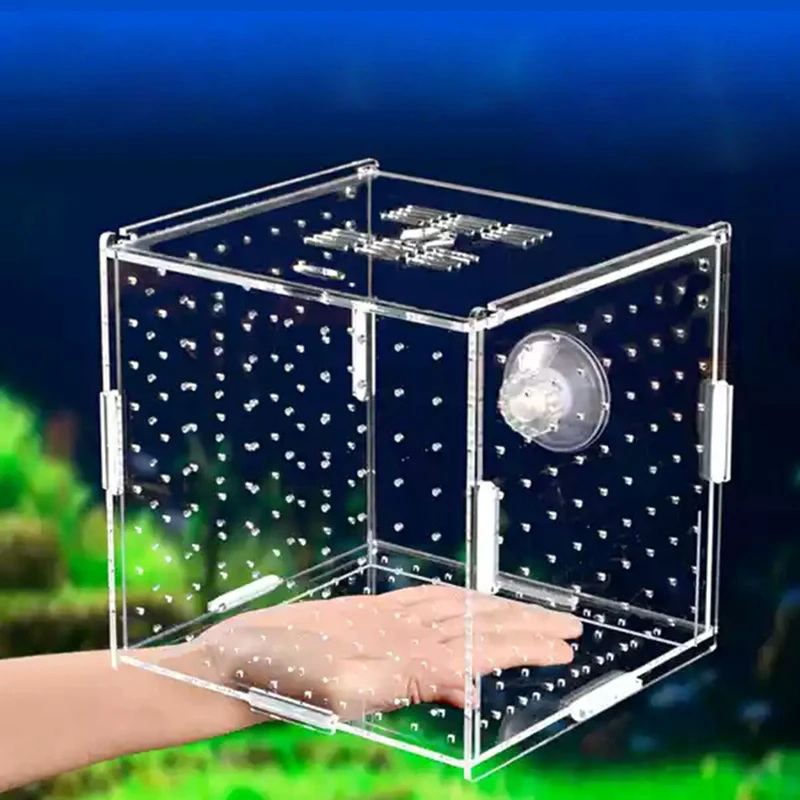 Boîte d'isolation en acrylique transparent pour poissons, fournitures d'aquarium, petite boîte d'élevage précieuse, grille simple, double grille