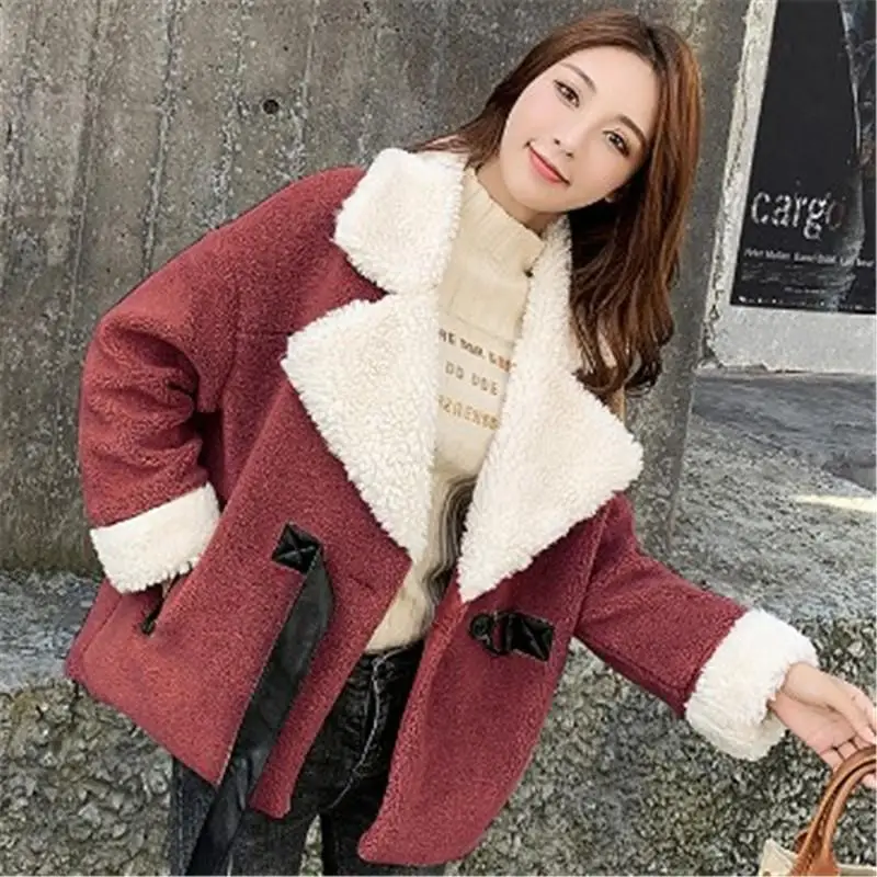 Faux Fur Fleece Jassen Vrouwen Herfst Winter Grote Kraag Losse Enkele Knop Dikke Warme Casual Oversized Lam Bontjas