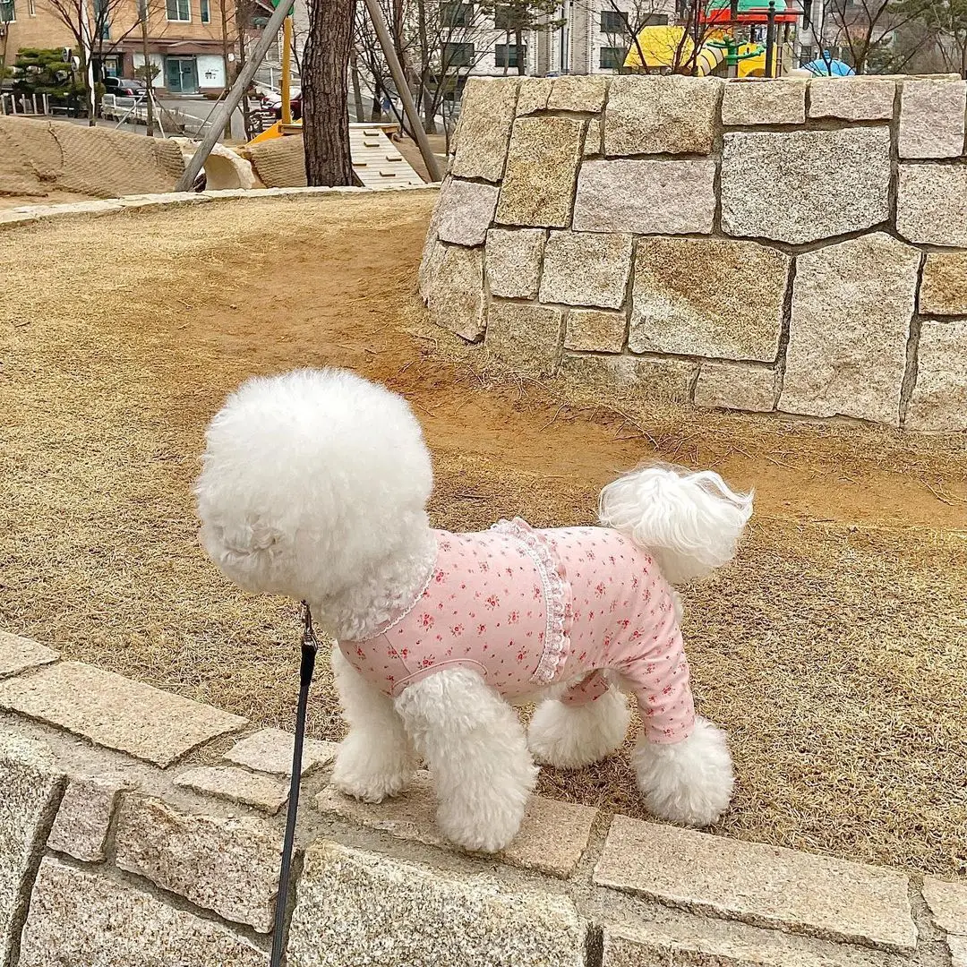 Cute Little Flower One-piece Two-legged Clothes Comfortable Dog Home Service Pet Warm Clothes Korean Autumn Small Dogs Girl