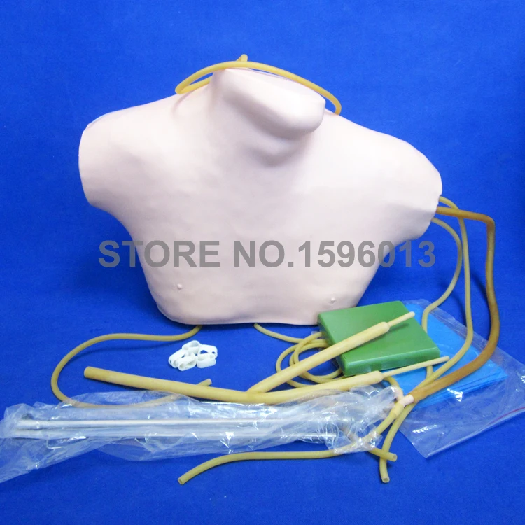 Patient Central Venous Catheterization Model CVC Simulator Venipuncture Training Manikin