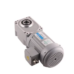 Lunyee 3 phase 220V 50HZ AC motor with gearbox 100W Hypoid gear motor