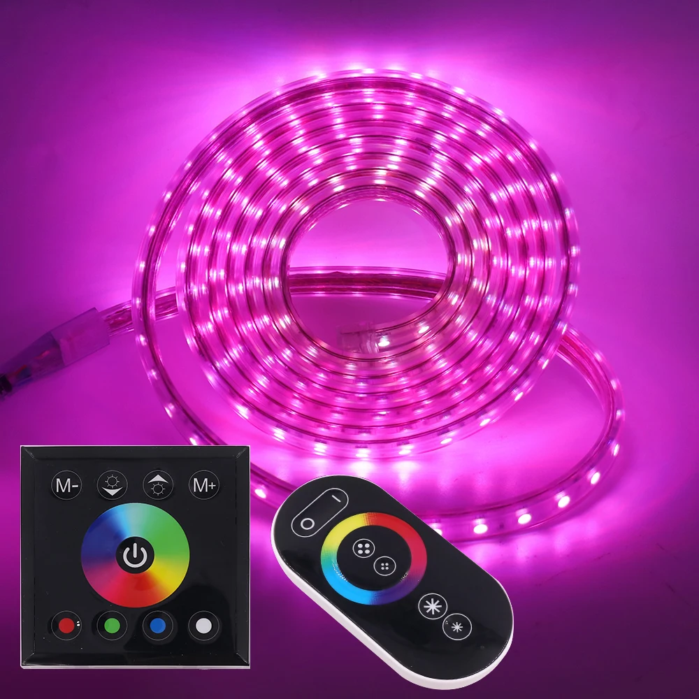 220V 110V RGB LED Strip Light Remote Control 5050 Waterproof Led Strip Dimmable Flexible Led Ribbon Tape Lights Home Decoration