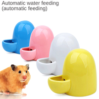 New Ceramic Pet Hamster Automatic Water Dispenser Mute Water Dispenser Feeding Water Feeder African Mini Hedgehog Kettle