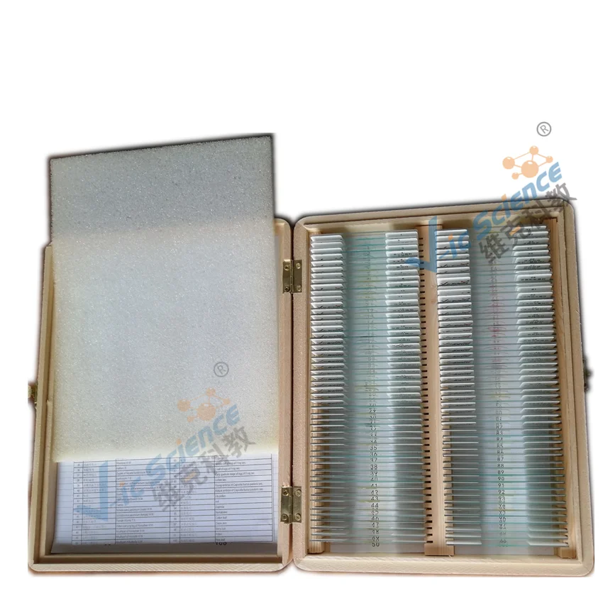 Lames de Microscope préparées pour l'école secondaire, 91 articles