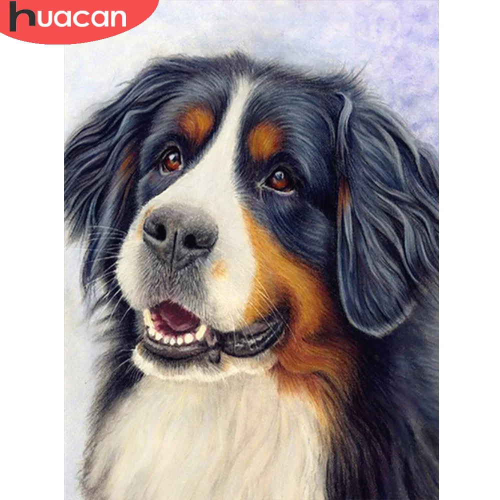 HUACAN Diamond Painting Bernese Mountain Dog Mosaic Embroidery Animal Cross Stitch Home Decor Wall Stickers