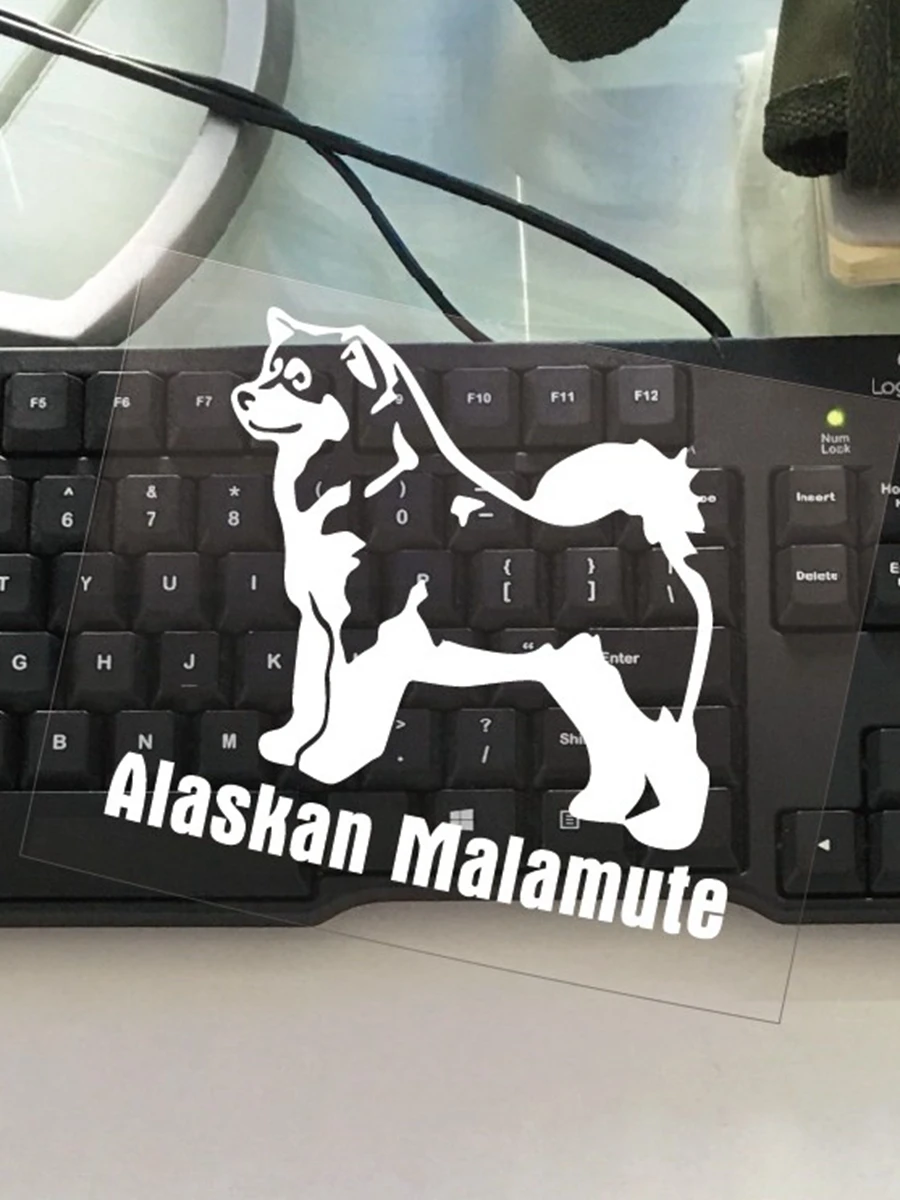 Wysokiej jakości Alaskan Malamute Retriever Vinyl Window Dog kalkomania Drop Shipping — zdjęcie 2