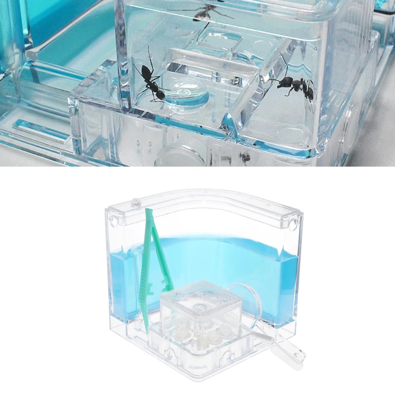 

Ant Farm Gel Maze 3D Educational Nursery Live Feeding System Novelty Habitat New Live Ants