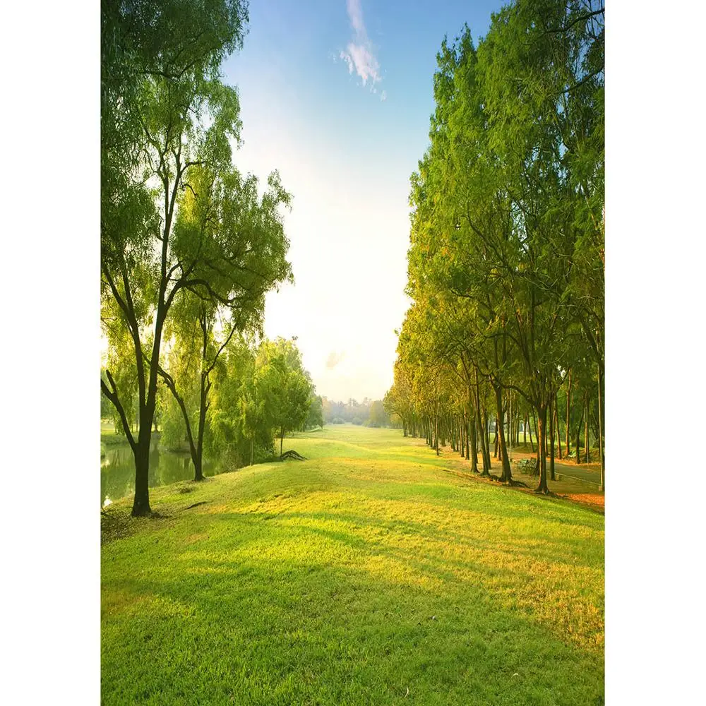 Grassland Trees Sunny Photo Backdrop Custom Vinyl Fond Background for Children Baby Portrait Pets Photobooth Photography Props