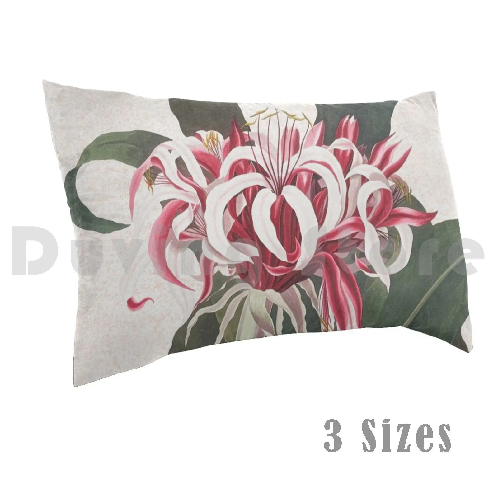 Sarung bantal cat air tumbuhan Spider Lily Queen dicetak 50x75 bunga musim semi musim panas tanaman alam