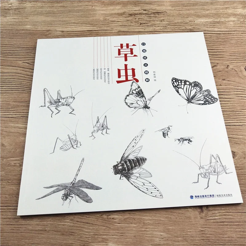 Grass and insect Chinese painting flowers and plants sketch book line drawing