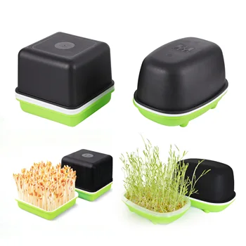 수경 콩 땅콩 새싹 상자, 종묘장, 완두콩, 밀 묘목, 정원 발아, 무토양 심기 트레이, 1PC