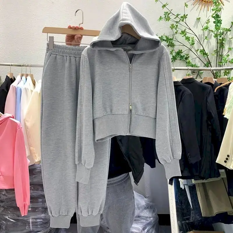 Hooded Sportswear Sets Cardigan Hoodies Sweatpants Two Piece Sets Women Fall Winter Loose Zipper Sweatshirt Trousers Casual Suit