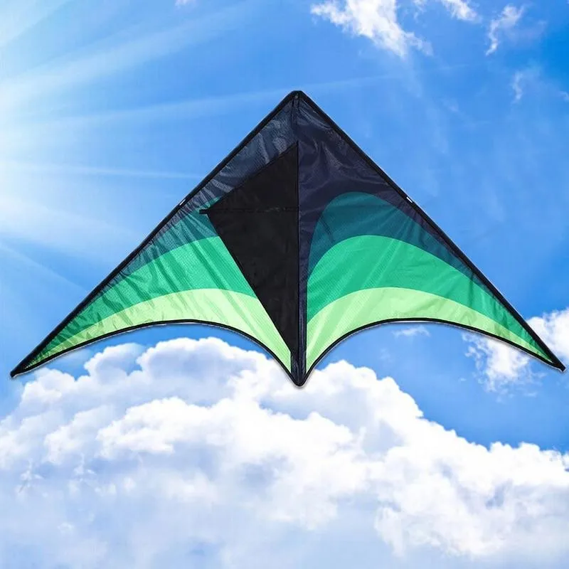 

High Quality Large Delta Kites With Handle Line Outdoor Toys For Kids Kites Nylon Ripstop Albatross Outdoor Flying Kites