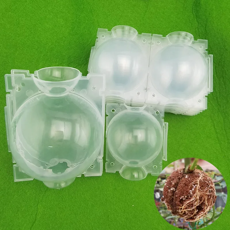 

5cm 12cm High Pressure Propagation Plant Rooting Ball root grow box Graft Breeding growing Case Transparent Planting Nursery A1