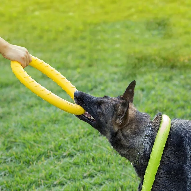 Interactive Training Pet Ring Puller Toys for Medium Large Dogs Greyhound Pitbull Safety EVA Big Dog Toy Mascotas Accessories