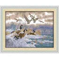Joy Sunday Printed Cross Stitch Kit DIY Animal Pattern Snow Birds 14CT 11CT Canvas Fabric Embroidery Sewing Set Home Decoration