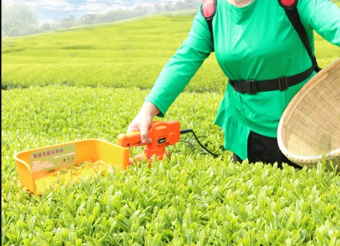Portable small brushless electric tea picker tea tree trimmer