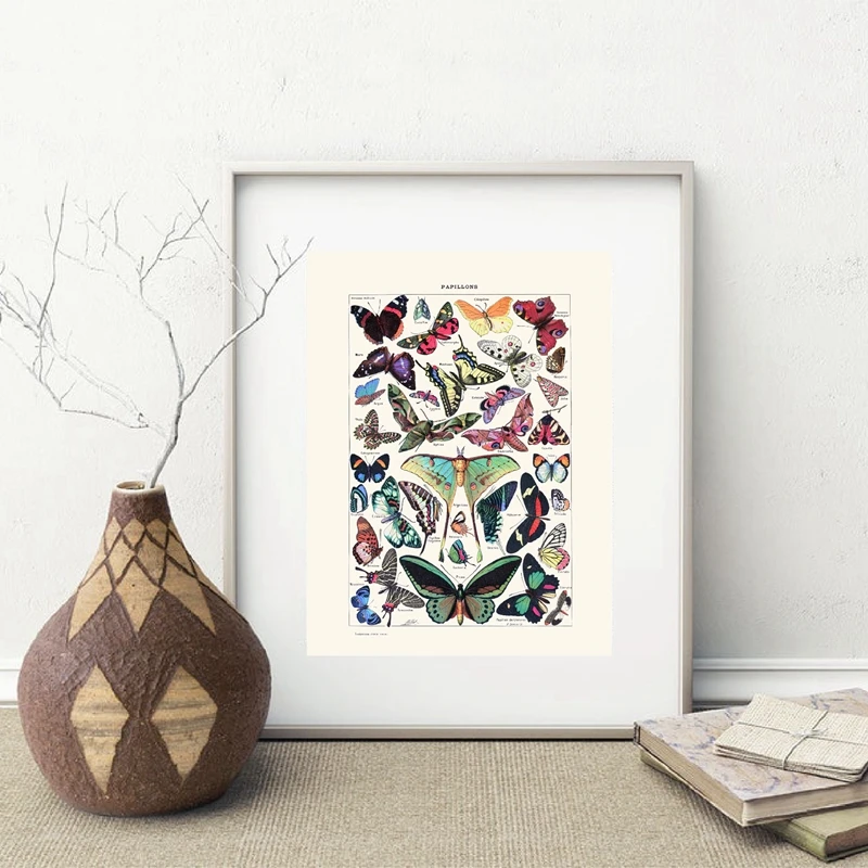 Antique Butterfly Vintage Poster Prints Insect Kind Nature Education Wall Art Canvas Painting Picture Kids Room Home Wall Decor