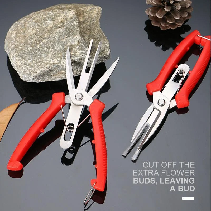 Double-Edged Fruit Picking Scissors, Garden Pruner, Shears Citrus Tree, Flower Cultivating, Solid Multi-use Pruning