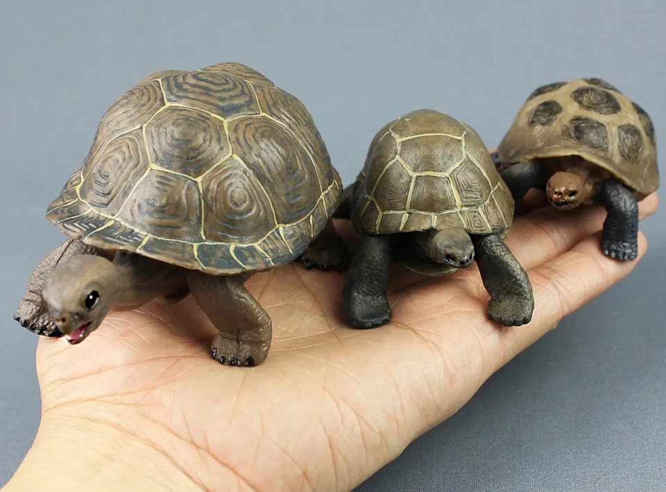 3 Pieces/Set Realistic Small Tortoise Models Plastic Dolls Educational Gift Toy Approx. 7.8-12.7cm Each Xf3014