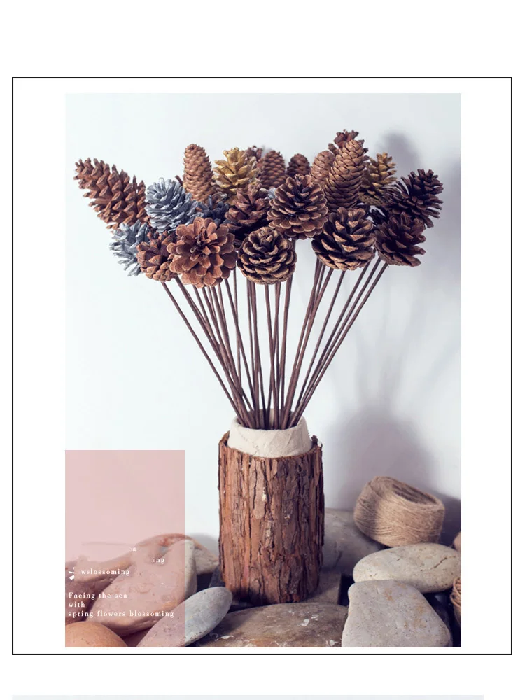 Natural Dried Flower Fruit Pine Cone  DIY Nordic Home Decor For Photo Shoot Props New Year's Eve Christmas Decorations 2021