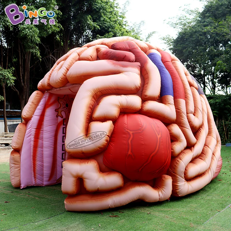 

Customized 5.1x4.5x3.6 Meters Inflatable Brain Tunnel Tent For Education / Blow Up Inflated Brain Balloon - BG-H0040