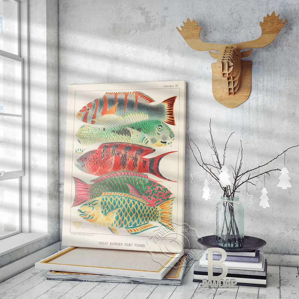 Australia Sea Fish Watercolour Sketches Retro Poster Cartoon Biology Painting Art Wall Pictures Kids Room Creche Home Decor Gift