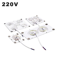 Grânulos LED com ímãs para iluminação interna, módulos LED, fonte de luz branca, 12W, 24W, 36W, 45W, AC 220V