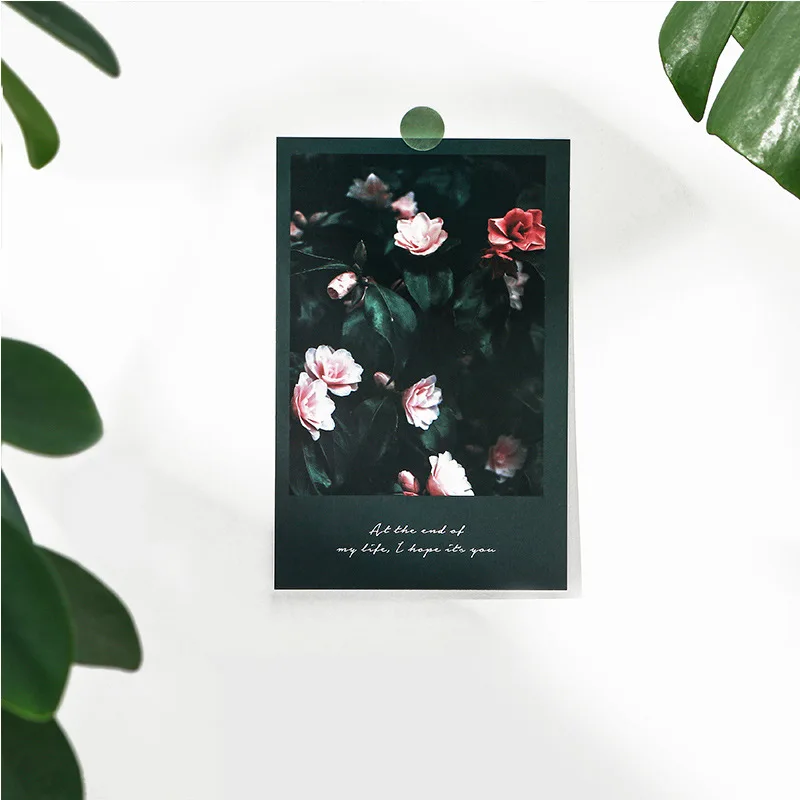 Tarjeta postal de la serie de flores de Begonia y cielo nocturno transparente, tarjetas de felicitación de estilo INS, tarjeta de mensaje, 2 diseños