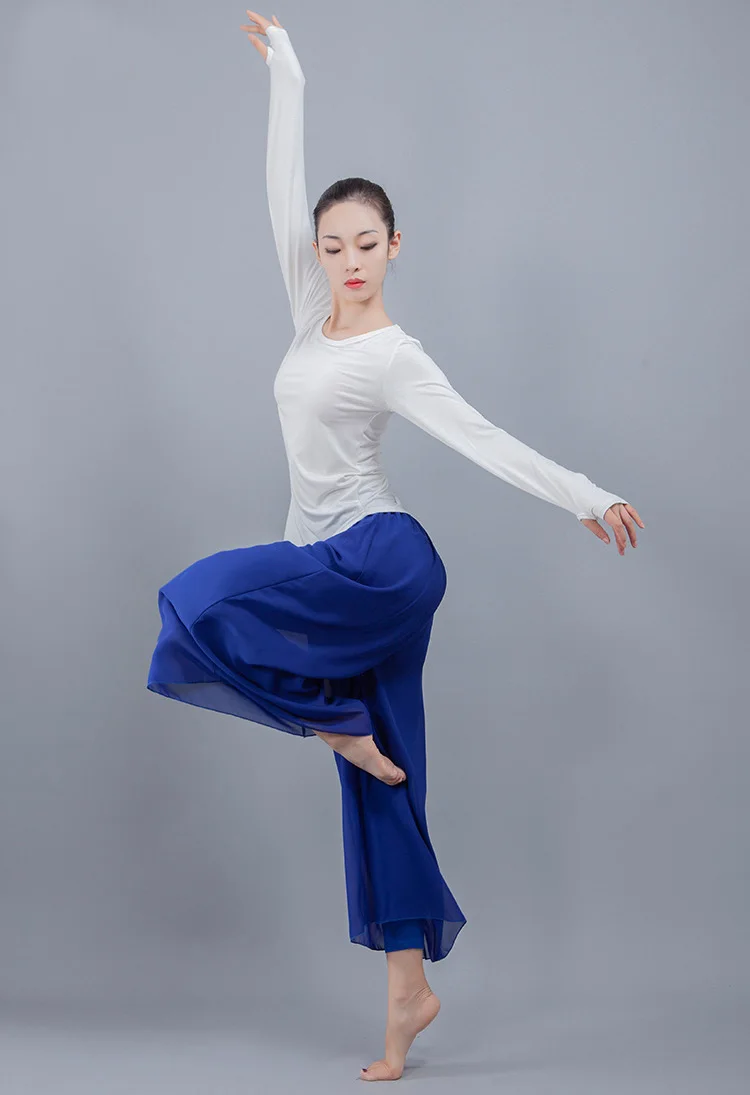 Pantalon d'entraînement standard pour femme, pantalon de danse latine, costume de danse du ventre, tango, valse, salle de Rh, compétition, fjlégiti