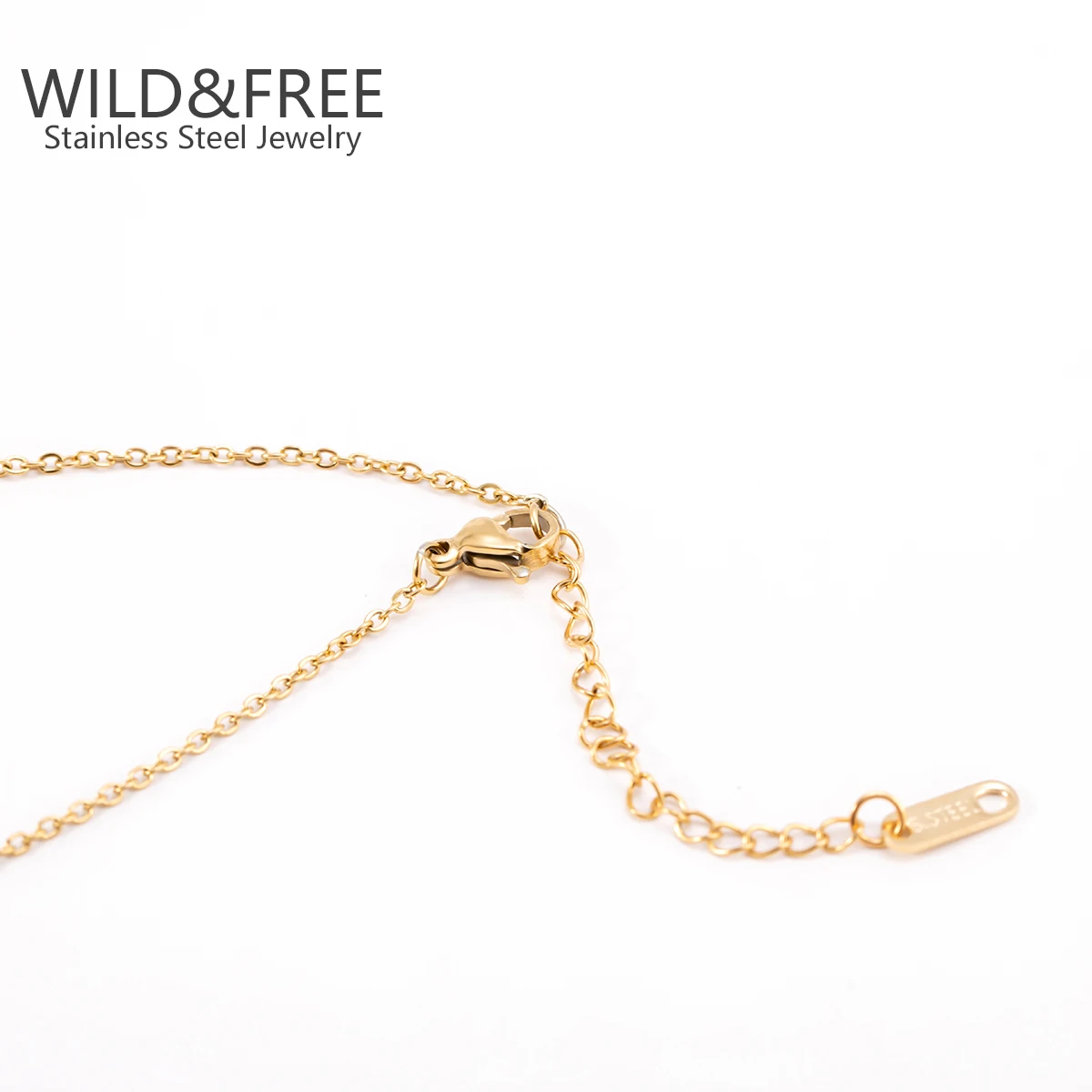 Wild&Free Trend Stainless Steel Jewelry Set Gold Plated Necklace Europe And American Ins Style Jewelry Corrosion Rose Necklaces