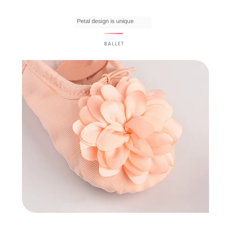 ใหม่ดอกไม้ผ้าใบรองเท้าแยกรองเท้าหนังนิ่มหญิง Ballerina ผู้หญิง Dancewear Salsa รองเท้าแตะ Gym โยคะเลดี้แจ๊ส