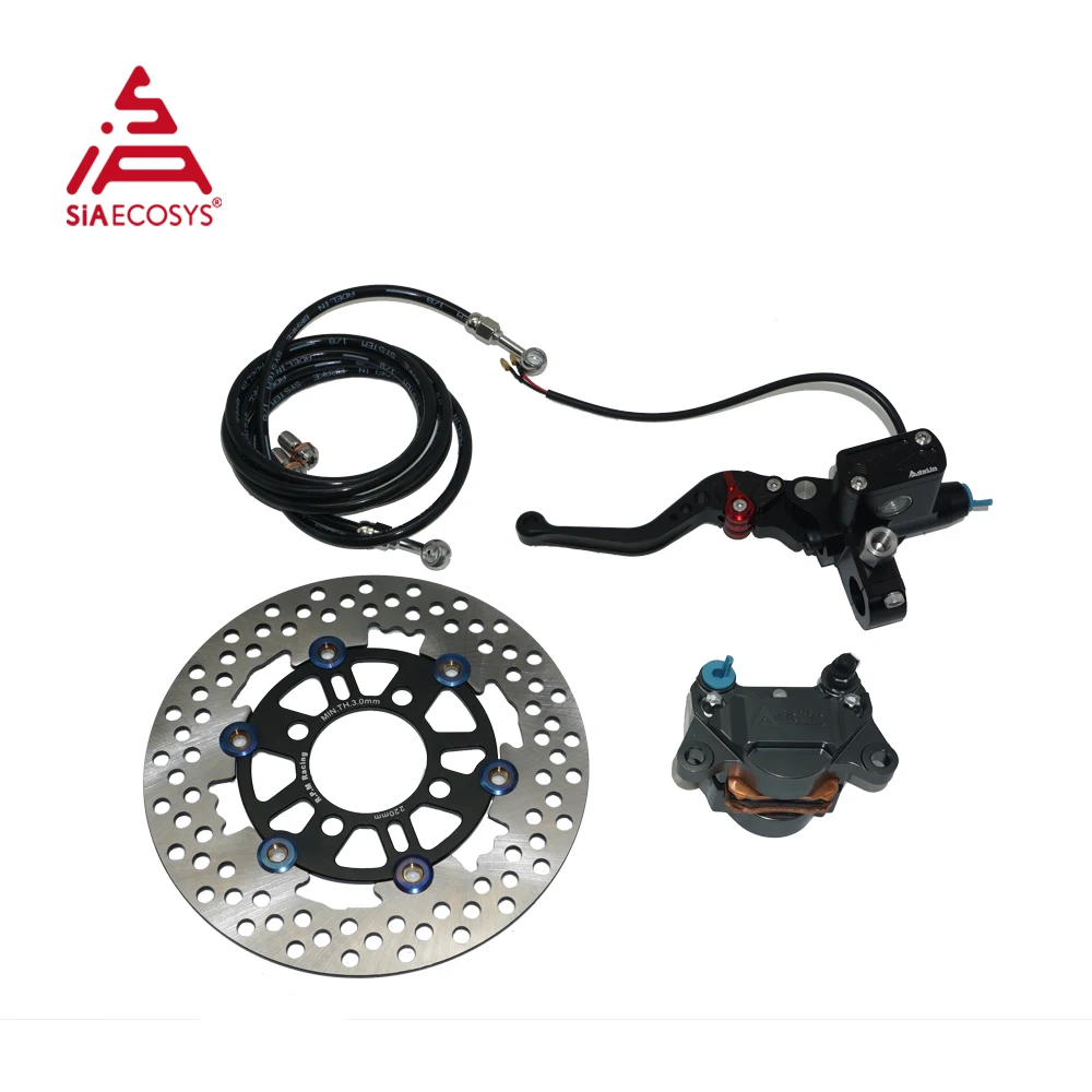 ADL rear disc brake assembly for high speed 120kph 8kw 12kw motor