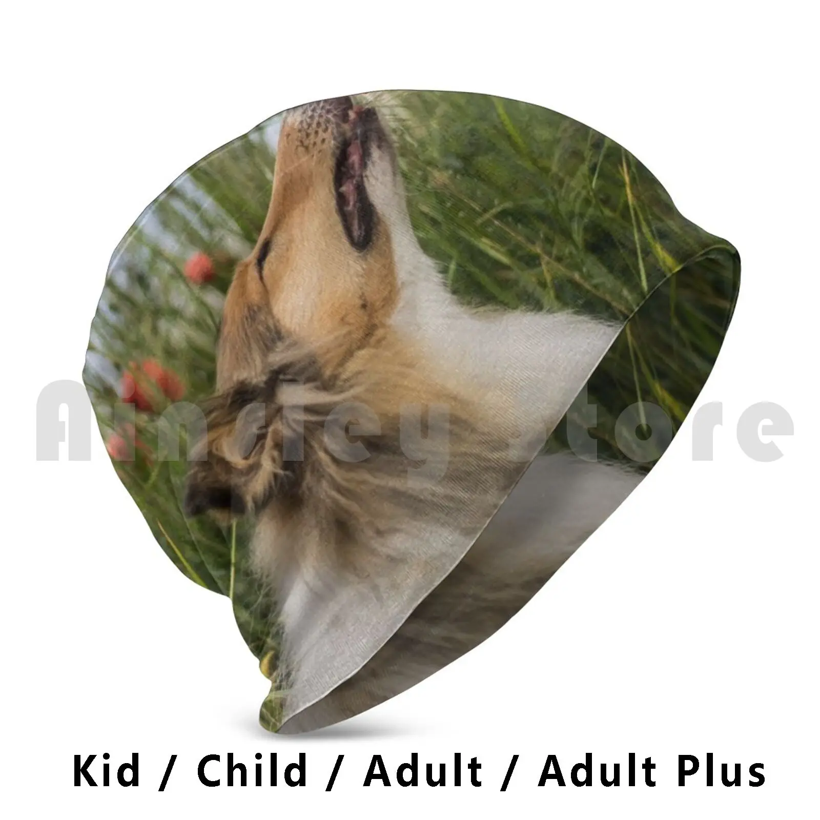 Cute Rough Collie Sniffing To A Poppy Beanies Pullover Cap Comfortable Collie Dog Rough Collie Poppy Cute Adorable