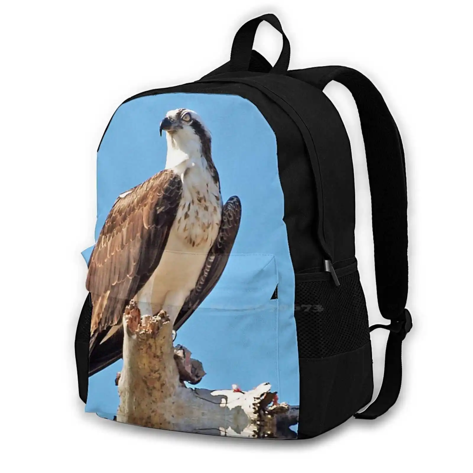 

The 1 Travel Laptop Bagpack School Bags