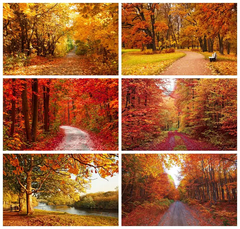 Laeacco Autumn Scenic Backdrops Landscape Yellow Forest Maple Trees Leaves Road Photography Backgrounds Baby Portrait Photophone